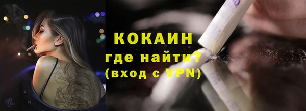 стафф Аркадак