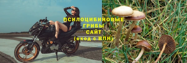 стафф Аркадак