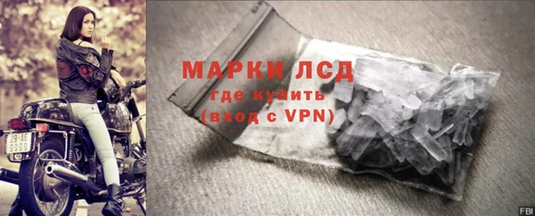 стафф Аркадак