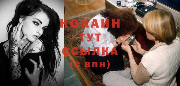 стафф Аркадак